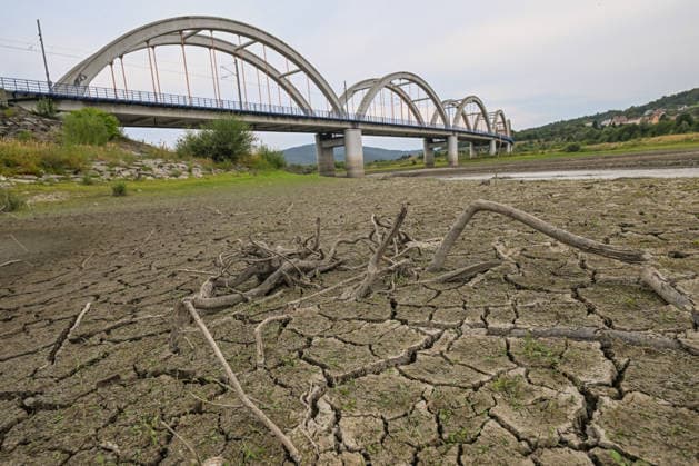 Historic summer heatwave drains southern Poland waterways ZEMBRZYCE, POLAND - AUGUST 17: A complex tangle of dead, gnarled tree branches sits stranded on an expansive field of deeply cracked, parched earth beneath an arched railway bridge in Zembrzyce, southern Poland, on August 17, 2026. A record-breaking summer heatwave and acute lack of rainfall have caused the Skawa River water levels to plummet by over a meter, transforming what is usually a submerged reservoir basin into a dried-out landscape. The critical hydrological drought has forced regional authorities to enforce emergency water restrictions across the Malopolska province. Artur Widak Anadolu Zembrzyce Poland. Editorial use only. Please get in touch for any other usage.  Copyright: x2026xAnadoluxArturxWidakx
