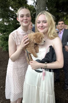 ARF Hamptons Bow Wow Meow Ball Featuring: Dakota Fanning, Elle Fanning Where: Hamptons, New York, United States When: 17 Aug 2026 Credit: Iris Zimmerman INSTARimages EDITORIAL USE ONLY. NOT FOR USE BY NEWSPAPERS BASED IN THE UK. Copyright: xx instar55925324
