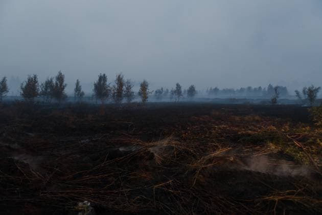 Smoke rises from burned soil, as a fire rages in the Hautes Fagnes (High Fens) nature reserve, on Tuesday 18 August 2026. The fire started on August 14th and 2700 hectares (on a total of 4500) are impacted.  NICOLASxLAMBERT 183633752