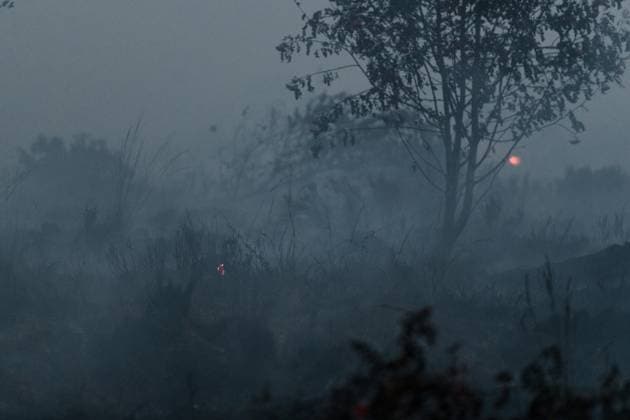 Smoke rises from burned soil, as a fire rages in the Hautes Fagnes (High Fens) nature reserve, on Tuesday 18 August 2026. The fire started on August 14th and 2700 hectares (on a total of 4500) are impacted.  NICOLASxLAMBERT 183633883