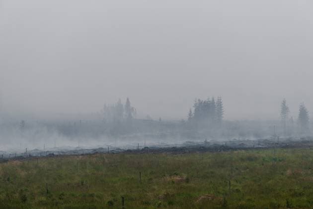 Smoke rises from burned soil, as a fire rages in the Hautes Fagnes (High Fens) nature reserve, on Tuesday 18 August 2026. The fire started on August 14th and 2700 hectares (on a total of 4500) are impacted.  NICOLASxLAMBERT 183633633