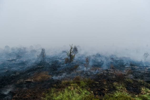 Smoke rises from burned soil, as a fire rages in the Hautes Fagnes (High Fens) nature reserve, on Tuesday 18 August 2026. The fire started on August 14th and 2700 hectares (on a total of 4500) are impacted.  NICOLASxLAMBERT 183633656
