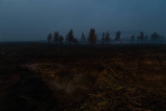 Smoke rises from burned soil, as a fire rages in the Hautes Fagnes (High Fens) nature reserve, on Tuesday 18 August 2026. The fire started on August 14th and 2700 hectares (on a total of 4500) are impacted.  NICOLASxLAMBERT 183633750