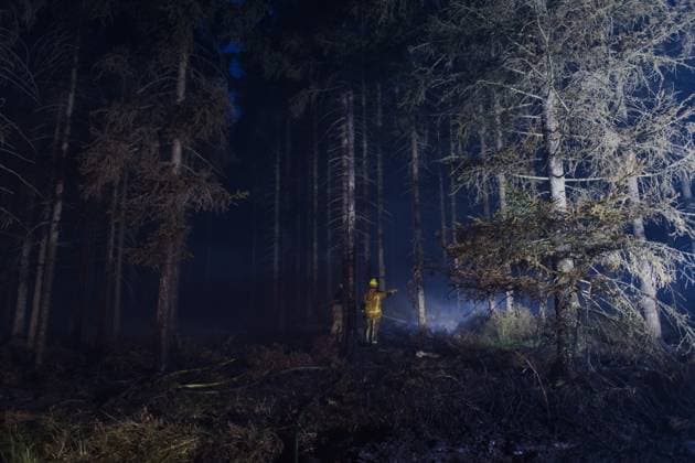 Firefighters pictured in action, as a fire rages in the Hautes Fagnes (High Fens) nature reserve, on Tuesday 18 August 2026. The fire started on August 14th and 2700 hectares (on a total of 4500) are impacted.  NICOLASxLAMBERT 183633696