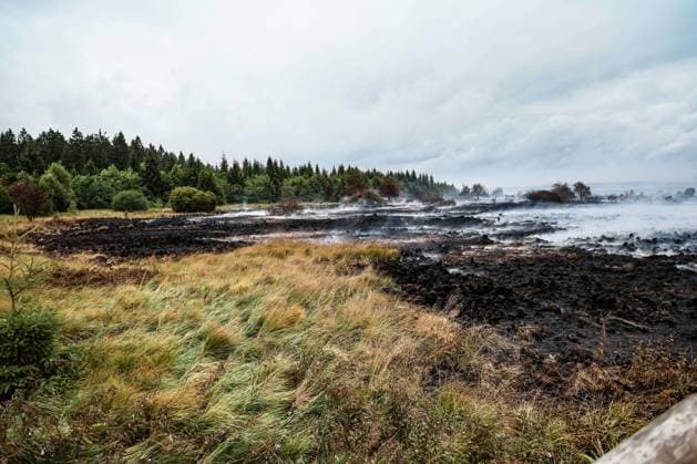 This image shows burnt landscape near the Signal de Botrange on the site of the fire in the Hautes Fagnes (High Fens) nature reserve, on Tuesday 18 August 2026. The fire started on August 14th and 3000 hectares (on a total of 4500) are impacted.  BRUNOxFAHY 183660513