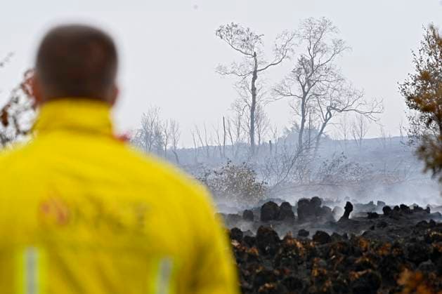 Fire in the Belgian High Fens 18 08 2026 FAGNES, BELGIUM - AUGUST 18 : Fire in the Belgian High Fens «The worst fire in Belgium s history» on August 18, 2026 in Fagnes, Belgium, 18 08 2026 Hautes Fagnes Belgium  Copyright: xDidierxLebrunx