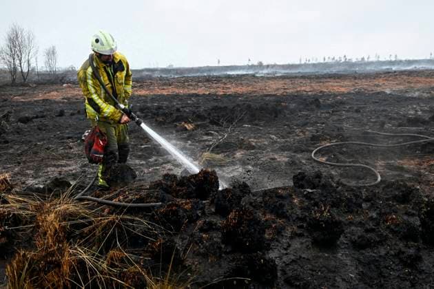 Fire in the Belgian High Fens 18 08 2026 FAGNES, BELGIUM - AUGUST 18 : Fire in the Belgian High Fens «The worst fire in Belgium s history» on August 18, 2026 in Fagnes, Belgium, 18 08 2026 Hautes Fagnes Belgium  Copyright: xDidierxLebrunx