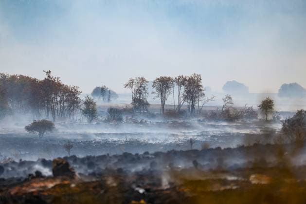 on the site of the fire in the Hautes Fagnes (High Fens) nature reserve, on Tuesday 18 August 2026. The fire started on August 14th and 3000 hectares (on a total of 4500) are impacted.  BRUNOxFAHY 183660948