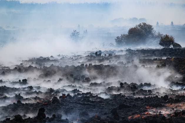 This image shows burnt landscape near the Signal de Botrange on the site of the fire in the Hautes Fagnes (High Fens) nature reserve, on Tuesday 18 August 2026. The fire started on August 14th and 3000 hectares (on a total of 4500) are impacted.  BRUNOxFAHY 183660778
