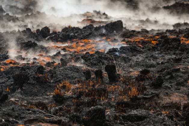 News Bilder des Tages This image shows burnt landscape near the Signal de Botrange on the site of the fire in the Hautes Fagnes (High Fens) nature reserve, on Tuesday 18 August 2026. The fire started on August 14th and 3000 hectares (on a total of 4500) are impacted.  BRUNOxFAHY 183661091