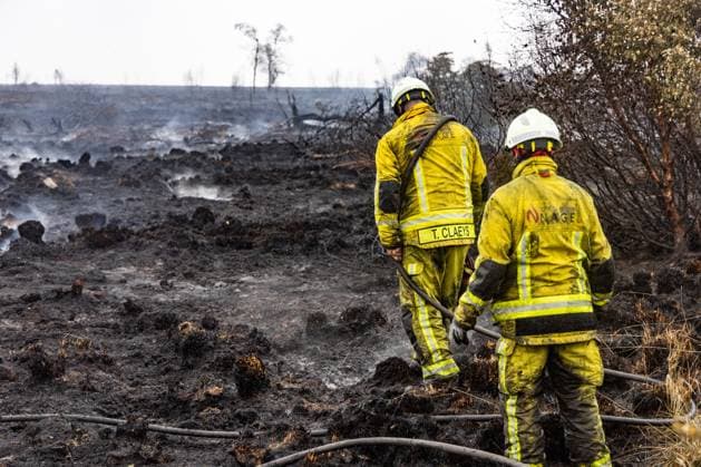 Firemen pictured on the site of the fire in the Hautes Fagnes (High Fens) nature reserve, on Tuesday 18 August 2026. The fire started on August 14th and 3000 hectares (on a total of 4500) are impacted.  BRUNOxFAHY 183661637