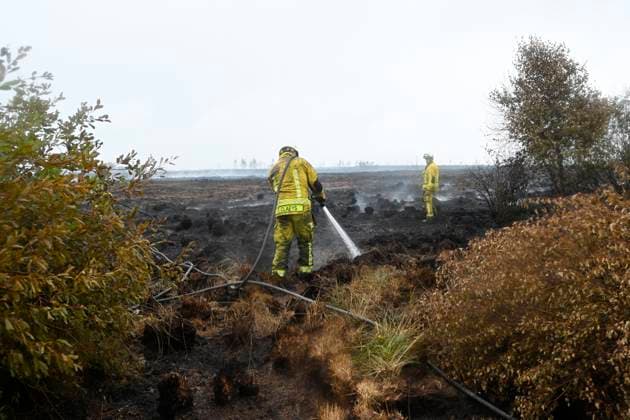 Fire in the Belgian High Fens 18 08 2026 FAGNES, BELGIUM - AUGUST 18 : Fire in the Belgian High Fens «The worst fire in Belgium s history» on August 18, 2026 in Fagnes, Belgium, 18 08 2026 Hautes Fagnes Belgium  Copyright: xDidierxLebrunx