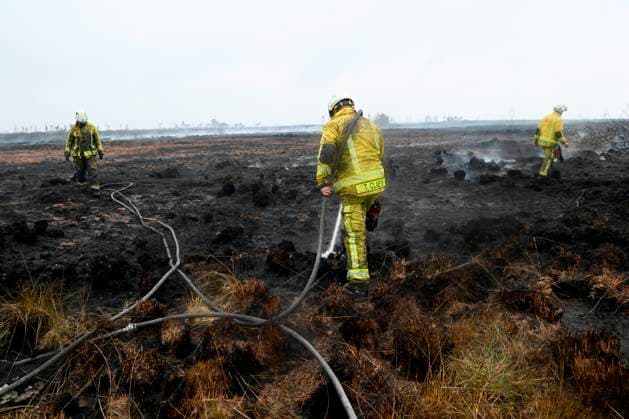 Fire in the Belgian High Fens 18 08 2026 FAGNES, BELGIUM - AUGUST 18 : Fire in the Belgian High Fens «The worst fire in Belgium s history» on August 18, 2026 in Fagnes, Belgium, 18 08 2026 Hautes Fagnes Belgium  Copyright: xDidierxLebrunx