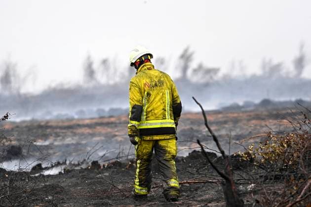 Fire in the Belgian High Fens 18 08 2026 FAGNES, BELGIUM - AUGUST 18 : Fire in the Belgian High Fens «The worst fire in Belgium s history» on August 18, 2026 in Fagnes, Belgium, 18 08 2026 Hautes Fagnes Belgium  Copyright: xDidierxLebrunx