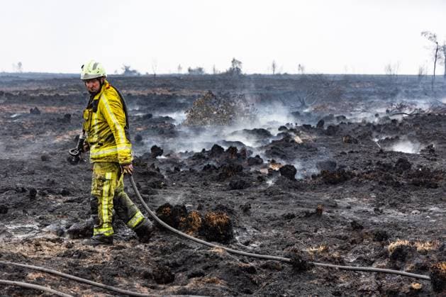 Firemen pictured on the site of the fire in the Hautes Fagnes (High Fens) nature reserve, on Tuesday 18 August 2026. The fire started on August 14th and 3000 hectares (on a total of 4500) are impacted.  BRUNOxFAHY 183663353