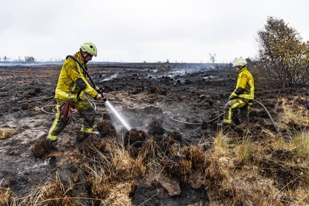 Firemen pictured on the site of the fire in the Hautes Fagnes (High Fens) nature reserve, on Tuesday 18 August 2026. The fire started on August 14th and 3000 hectares (on a total of 4500) are impacted.  BRUNOxFAHY 183663780