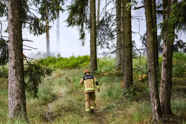 Firemen pictured on the site of the fire in the Hautes Fagnes (High Fens) nature reserve, on Tuesday 18 August 2026. The fire started on August 14th and 3000 hectares (on a total of 4500) are impacted.  BRUNOxFAHY 183663909