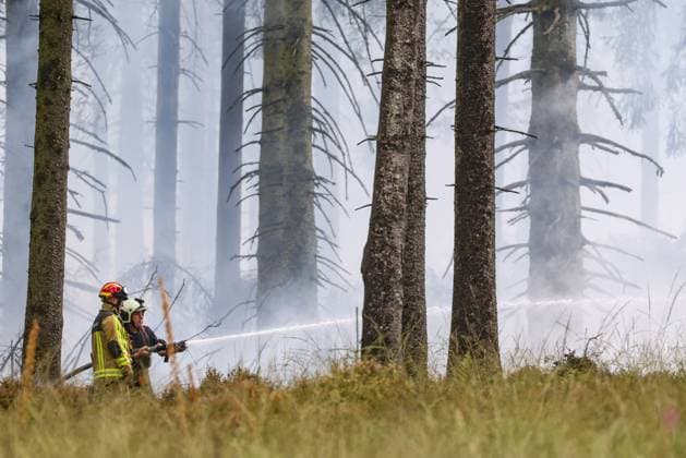 Firemen pictured on the site of the fire in the Hautes Fagnes (High Fens) nature reserve, on Tuesday 18 August 2026. The fire started on August 14th and 3000 hectares (on a total of 4500) are impacted.  BRUNOxFAHY 183663923