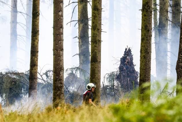 Firemen pictured on the site of the fire in the Hautes Fagnes (High Fens) nature reserve, on Tuesday 18 August 2026. The fire started on August 14th and 3000 hectares (on a total of 4500) are impacted.  BRUNOxFAHY 183664122
