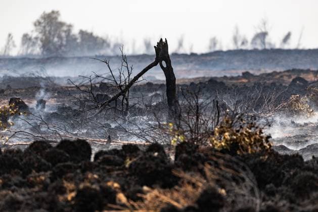 This image shows burnt landscape near the Signal de Botrange on the site of the fire in the Hautes Fagnes (High Fens) nature reserve, on Tuesday 18 August 2026. The fire started on August 14th and 3000 hectares (on a total of 4500) are impacted.  BRUNOxFAHY 183664136