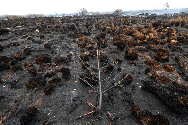Fire in the Belgian High Fens 18 08 2026 FAGNES, BELGIUM - AUGUST 18 : Fire in the Belgian High Fens «The worst fire in Belgium s history» on August 18, 2026 in Fagnes, Belgium, 18 08 2026 Hautes Fagnes Belgium  Copyright: xDidierxLebrunx