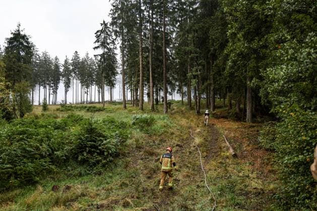 Firemen pictured on the site of the fire in the Hautes Fagnes (High Fens) nature reserve, on Tuesday 18 August 2026. The fire started on August 14th and 3000 hectares (on a total of 4500) are impacted.  BRUNOxFAHY 183664293