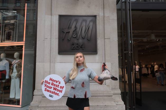 . 18 08 2026. London, United Kingdom. Peta Protest HM. Outside H&M s Regent Street store on Tuesday, a PETA supporter wearing bloodied faux-wool clothing displays a realistic severed sheep head holding a sign reading Here s the Rest of Your Wool Sweater! Wear Vegan! as the animal protection group calls on H&M to end its sale of wool.  xMartynxWheatleyx xi-Imagesx IIM-26951-0005