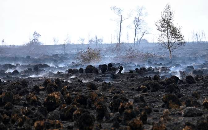 Fire in the Belgian High Fens 18 08 2026 FAGNES, BELGIUM - AUGUST 18 : Fire in the Belgian High Fens «The worst fire in Belgium s history» on August 18, 2026 in Fagnes, Belgium, 18 08 2026 Hautes Fagnes Belgium  Copyright: xDidierxLebrunx