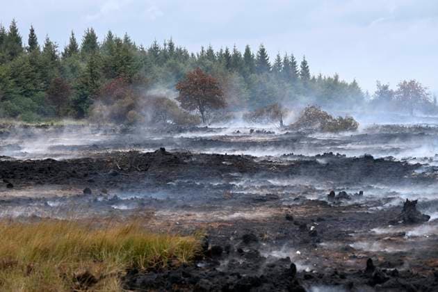 Fire in the Belgian High Fens 18 08 2026 FAGNES, BELGIUM - AUGUST 18 : Fire in the Belgian High Fens «The worst fire in Belgium s history» (Signal de Botrange) on August 18, 2026 in Fagnes, Belgium, 18 08 2026 Hautes Fagnes Belgium  Copyright: xDidierxLebrunx