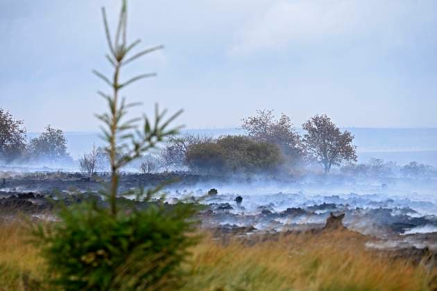 Fire in the Belgian High Fens 18 08 2026 FAGNES, BELGIUM - AUGUST 18 : Fire in the Belgian High Fens «The worst fire in Belgium s history» (Signal de Botrange) on August 18, 2026 in Fagnes, Belgium, 18 08 2026 Hautes Fagnes Belgium  Copyright: xDidierxLebrunx