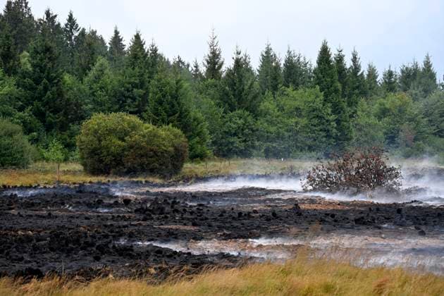 Fire in the Belgian High Fens 18 08 2026 FAGNES, BELGIUM - AUGUST 18 : Fire in the Belgian High Fens «The worst fire in Belgium s history» (Signal de Botrange) on August 18, 2026 in Fagnes, Belgium, 18 08 2026 Hautes Fagnes Belgium  Copyright: xDidierxLebrunx