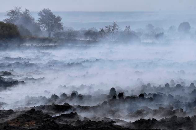 Fire in the Belgian High Fens 18 08 2026 FAGNES, BELGIUM - AUGUST 18 : Fire in the Belgian High Fens «The worst fire in Belgium s history» (Signal de Botrange) on August 18, 2026 in Fagnes, Belgium, 18 08 2026 Hautes Fagnes Belgium  Copyright: xDidierxLebrunx