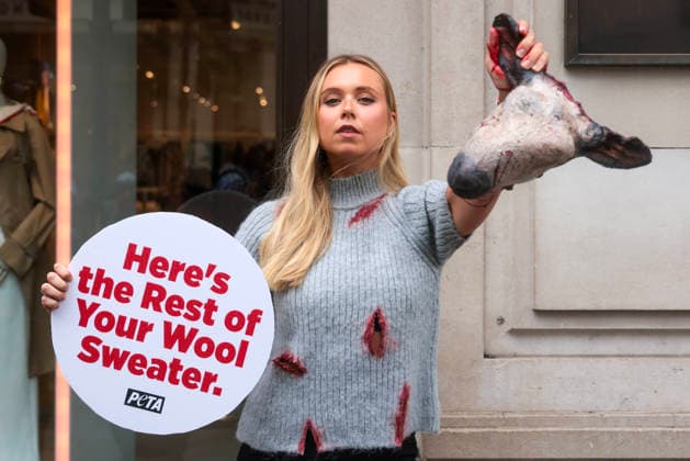 News Bilder des Tages . 18 08 2026. London, United Kingdom. Peta Protest HM. Outside H&M s Regent Street store on Tuesday, a PETA supporter wearing bloodied faux-wool clothing displays a realistic severed sheep head holding a sign reading Here s the Rest of Your Wool Sweater! Wear Vegan! as the animal protection group calls on H&M to end its sale of wool.  xMartynxWheatleyx xi-Imagesx IIM-26951-0010