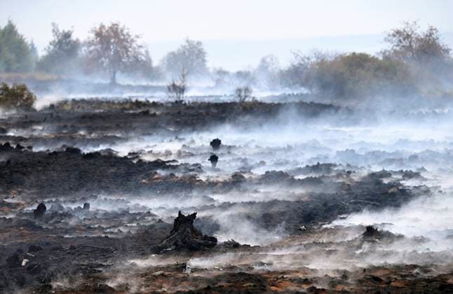 Fire in the Belgian High Fens 18 08 2026 FAGNES, BELGIUM - AUGUST 18 : Fire in the Belgian High Fens «The worst fire in Belgium s history» (Signal de Botrange) on August 18, 2026 in Fagnes, Belgium, 18 08 2026 Hautes Fagnes Belgium  Copyright: xDidierxLebrunx