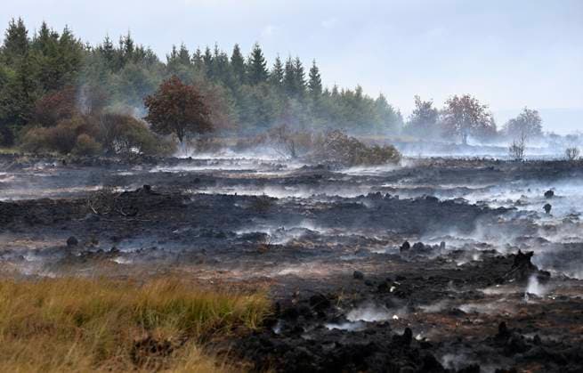 Fire in the Belgian High Fens 18 08 2026 FAGNES, BELGIUM - AUGUST 18 : Fire in the Belgian High Fens «The worst fire in Belgium s history» (Signal de Botrange) on August 18, 2026 in Fagnes, Belgium, 18 08 2026 Hautes Fagnes Belgium  Copyright: xDidierxLebrunx