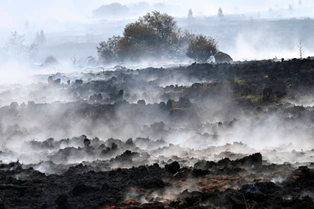 Fire in the Belgian High Fens 18 08 2026 FAGNES, BELGIUM - AUGUST 18 : Fire in the Belgian High Fens «The worst fire in Belgium s history» (Signal de Botrange) on August 18, 2026 in Fagnes, Belgium, 18 08 2026 Hautes Fagnes Belgium  Copyright: xDidierxLebrunx