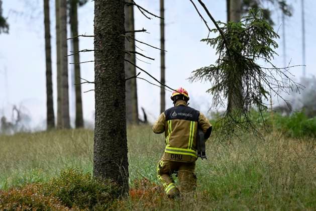 Fire in the Belgian High Fens 18 08 2026 FAGNES, BELGIUM - AUGUST 18 : Fire in the Belgian High Fens «The worst fire in Belgium s history» on August 18, 2026 in Fagnes, Belgium, 18 08 2026 Hautes Fagnes Belgium  Copyright: xDidierxLebrunx