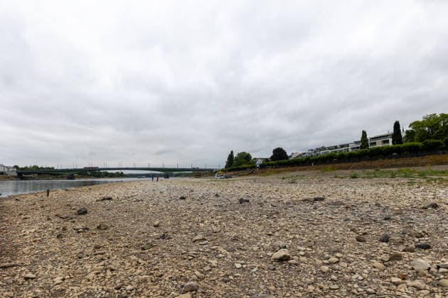 Extremes Niedrigwasser am Rhein in Bonn-Beuel Bonn, 18. August 2026. Das durch das extreme Niedrigwasser weitgehend trockengefallene Rheinufer in Bonn-Beuel. Im Hintergrund ist die Kennedybrücke zu sehen, die Bonn und Beuel miteinander verbindet. Die anhaltende Hitze und Trockenheit haben den Rhein in Nordrhein-Westfalen auf ungewöhnlich niedrige Wasserstände sinken lassen. Bonn Beuel Nordrhein-Westfalen Deutschland *** Extremely Low Water Levels on the Rhine in Bonn Beuel Bonn, August 18, 2026 The banks of the Rhine in Bonn Beuel, which have largely dried up due to the extremely low water levels. The Kennedy Bridge can be seen in the background, which connects Bonn and Beuel. The ongoing heat and drought have caused water levels in the