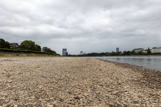 Extremes Niedrigwasser legt Rheinufer in Bonn frei Bonn, 18. August 2026. Das durch das extreme Niedrigwasser weitgehend trockengefallene Rheinufer in Bonn. Im Hintergrund sind der Post Tower und der Lange Eugen im ehemaligen Regierungsviertel zu sehen. Der Rhein führt derzeit aufgrund der anhaltenden Hitze und Trockenheit außergewöhnlich wenig Wasser. Der Rheinpegel in Bonn und Köln hat Anfang August ein Rekordtief erreicht. Bonn Beuel Nordrhein-Westfalen Deutschland *** Extremely Low Water Levels Expose the Banks of the Rhine in Bonn Bonn, August 18, 2026 The banks of the Rhine in Bonn, largely dried up due to the extremely low water levels. In the background are the Post Tower and the Lange Eugen in the former government district. Du