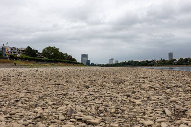 Extremes Niedrigwasser legt Rheinufer in Bonn frei Bonn, 18. August 2026. Das durch das extreme Niedrigwasser weitgehend trockengefallene Rheinufer in Bonn. Im Hintergrund sind der Post Tower und der Lange Eugen im ehemaligen Regierungsviertel zu sehen. Der Rhein führt derzeit aufgrund der anhaltenden Hitze und Trockenheit außergewöhnlich wenig Wasser. Der Rheinpegel in Bonn und Köln hat Anfang August ein Rekordtief erreicht. Bonn Beuel Nordrhein-Westfalen Deutschland *** Extremely Low Water Levels Expose the Banks of the Rhine in Bonn Bonn, August 18, 2026 The banks of the Rhine in Bonn, largely dried up due to the extremely low water levels. In the background are the Post Tower and the Lange Eugen in the former government district. Du