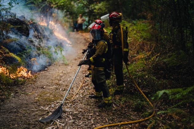 Wildfires in Ponteareas GALICIA, SPAIN - AUGUST 18: Firefighters extinguish wildfires in Ponteareas, Pontevedra, Galicia, Spain on August 18, 2026. Pedro Pascual Garcia Anadolu Galicia Spain. Editorial use only. Please get in touch for any other usage.  Copyright: x2026xAnadoluxPedroxPascualxGarciax