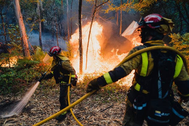 Wildfires in Ponteareas GALICIA, SPAIN - AUGUST 18: Firefighters extinguish wildfires in Ponteareas, Pontevedra, Galicia, Spain on August 18, 2026. Pedro Pascual Garcia Anadolu Galicia Spain. Editorial use only. Please get in touch for any other usage.  Copyright: x2026xAnadoluxPedroxPascualxGarciax