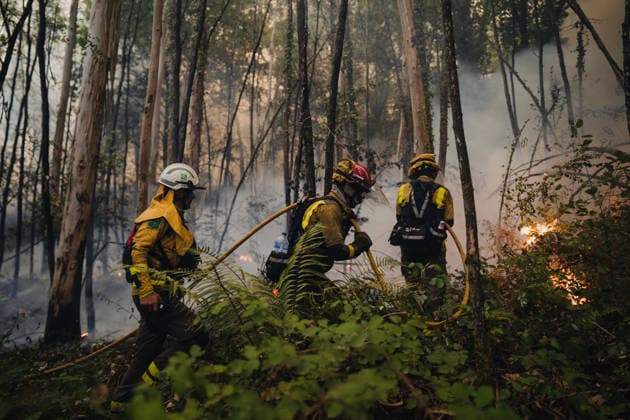 News Bilder des Tages Wildfires in Ponteareas GALICIA, SPAIN - AUGUST 18: Firefighters extinguish wildfires in Ponteareas, Pontevedra, Galicia, Spain on August 18, 2026. Pedro Pascual Garcia Anadolu Galicia Spain. Editorial use only. Please get in touch for any other usage.  Copyright: x2026xAnadoluxPedroxPascualxGarciax