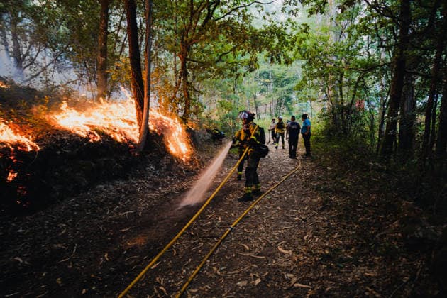 Wildfires in Ponteareas GALICIA, SPAIN - AUGUST 18: Firefighters work to put out a wildfire near Nogueira, in the municipality of Ponteareas, Galicia, Spain, on August 18, 2026. The blaze, which broke out in the afternoon, had burned more than 40 hectares of land by nightfall, according to regional authorities. Pedro Pascual Garcia Anadolu Galicia Spain. Editorial use only. Please get in touch for any other usage.  Copyright: x2026xAnadoluxPedroxPascualxGarciax