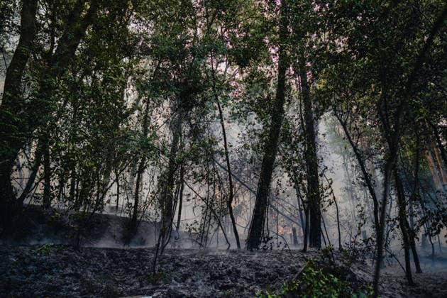 Wildfires in Ponteareas GALICIA, SPAIN - AUGUST 18: Firefighters work to put out a wildfire near Nogueira, in the municipality of Ponteareas, Galicia, Spain, on August 18, 2026. The blaze, which broke out in the afternoon, had burned more than 40 hectares of land by nightfall, according to regional authorities. Pedro Pascual Garcia Anadolu Galicia Spain. Editorial use only. Please get in touch for any other usage.  Copyright: x2026xAnadoluxPedroxPascualxGarciax
