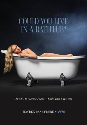 Tragic Hayden Panettiere stars in PETA campaign to save dolphins and whales in captivity that she shot two weeks before her death *BYLINE MUST CREDIT: PETA Mega* Tragic Hayden Panettiere stars in a PETA campaign to save dolphins and whales in captivity that the actress shot just two weeks before her death., , Animal lover and longtime animal rights advocate Hayden posed seemingly naked in a bathtub to speak out against marine parks holding dolphins and whales in captivity., , In the campaign video, an emotional Hayden says: Imagine spending your entire life in a bathtub. That’s what it’s like for dolphins and whales in tiny tanks at marine parks. , , She continues: We can end this, you and me. , , Hayden appears to have tears in her eyes  Copyright: xThexMegaxAgencyxPETA Megax