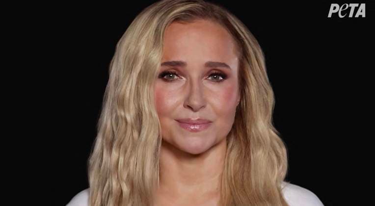 Tragic Hayden Panettiere stars in PETA campaign to save dolphins and whales in captivity that she shot two weeks before her death *BYLINE MUST CREDIT: PETA Mega* Tragic Hayden Panettiere stars in a PETA campaign to save dolphins and whales in captivity that the actress shot just two weeks before her death., , Animal lover and longtime animal rights advocate Hayden posed seemingly naked in a bathtub to speak out against marine parks holding dolphins and whales in captivity., , In the campaign video, an emotional Hayden says: Imagine spending your entire life in a bathtub. That’s what it’s like for dolphins and whales in tiny tanks at marine parks. , , She continues: We can end this, you and me. , , Hayden appears to have tears in her eyes  Copyright: xThexMegaxAgencyxPETA Megax