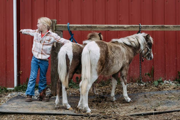 Child Helping With Pony Care at Barn Gordonville, Missouri, United States CR_WEKW260818-2107174-01 ,model released, Symbolfoto ,property released