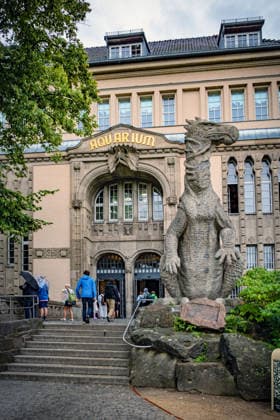 Berlin Charlottenburg-Wilmersdorf; Aquarium, dem Berliner Zoo angeschlossen, wurde nach 3 Jahren Umbau wieder komplett eröffnet - 19.08.2026 Berlin *** The Berlin Charlottenburg Wilmersdorf Aquarium, affiliated with the Berlin Zoo, reopened in full on August 19, 2026, following three years of renovations. Berlin
