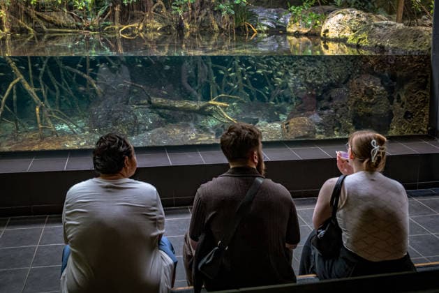 Berlin Charlottenburg-Wilmersdorf; Aquarium, dem Berliner Zoo angeschlossen, wurde nach 3 Jahren Umbau wieder komplett eröffnet - 19.08.2026 Berlin *** The Berlin Charlottenburg Wilmersdorf Aquarium, affiliated with the Berlin Zoo, reopened in full on August 19, 2026, after three years of renovations. Berlin